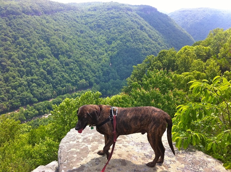 Pixel above New River Gorge.jpg